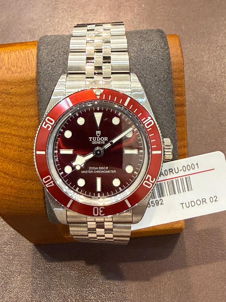 Tudor black bay
