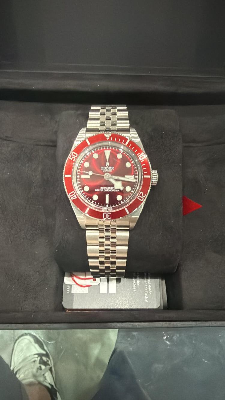Tudor black bay